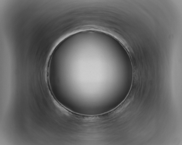 X0000112941535200908311439
