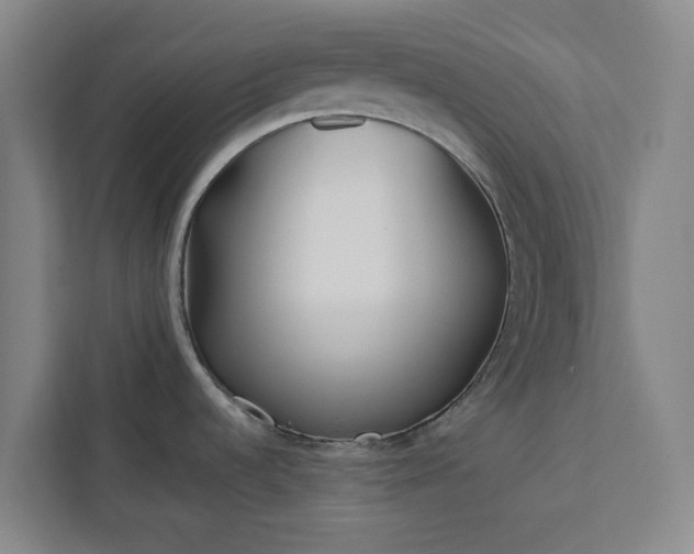 X0000112941536200908311439