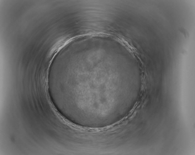 X0000112940002200909071104