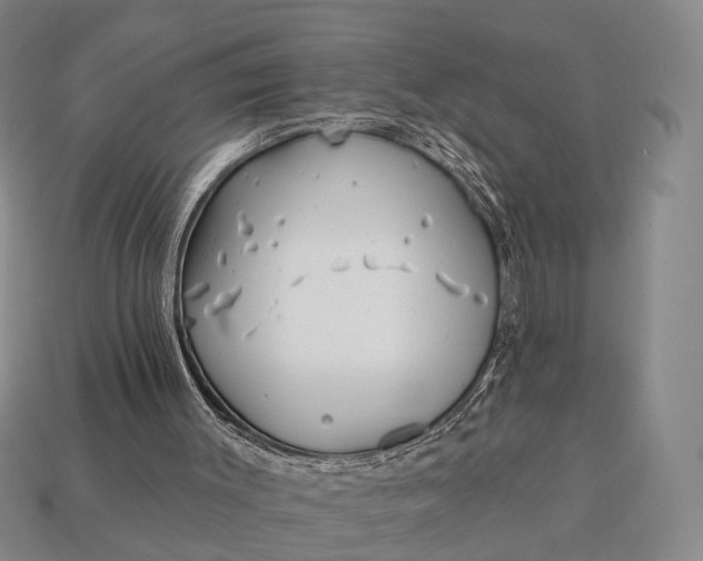 X0000112940003200909071104