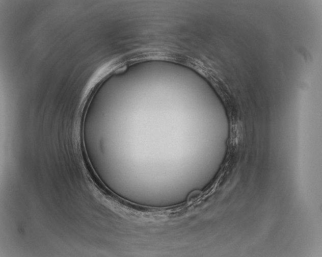 X0000112940004200909071104