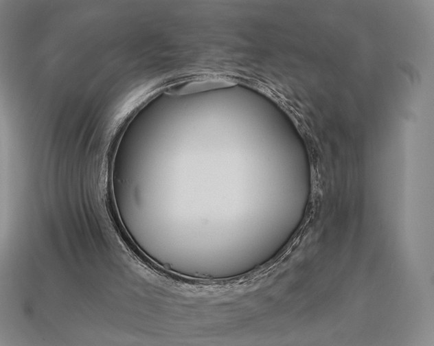 X0000112940005200909071104