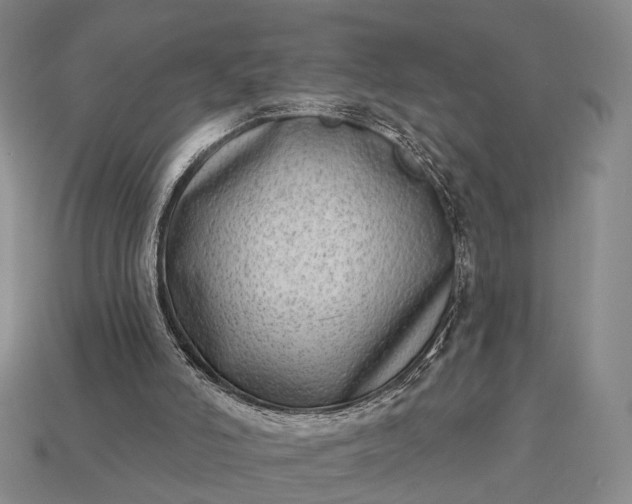 X0000112940006200909071104