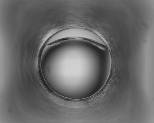 X0000112940008200909071104