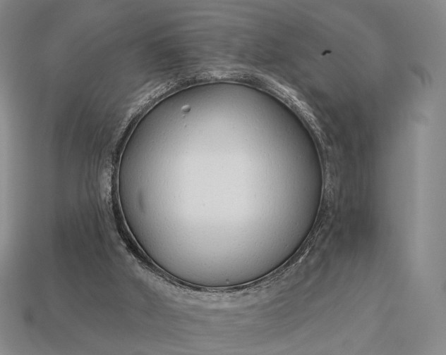 X0000112940010200909071104