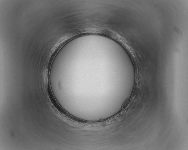 X0000112940011200909071104