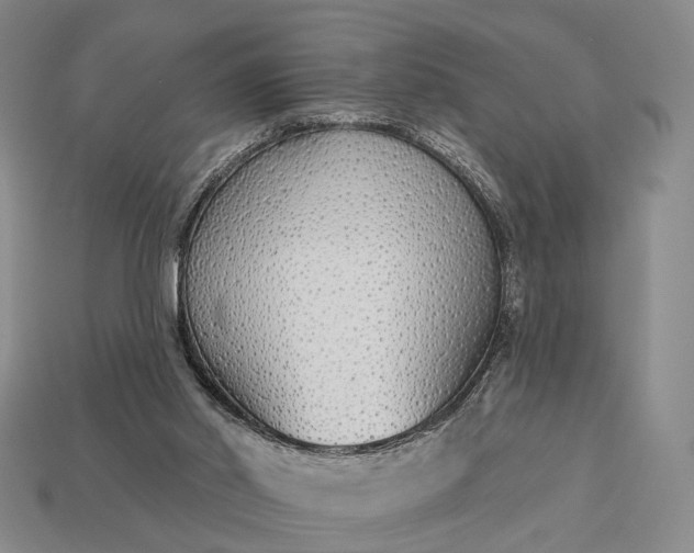 X0000112940014200909071104