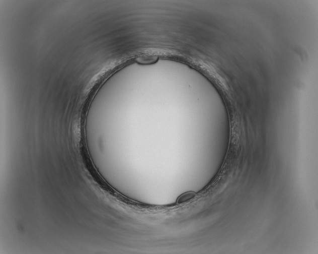 X0000112940015200909071104