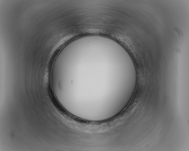 X0000112940016200909071104