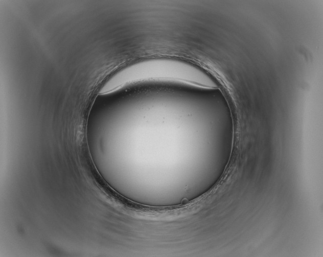 X0000112940017200909071104