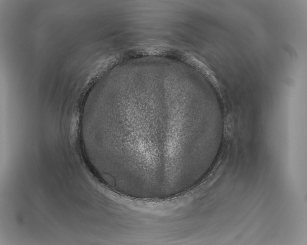 X0000112940018200909071104