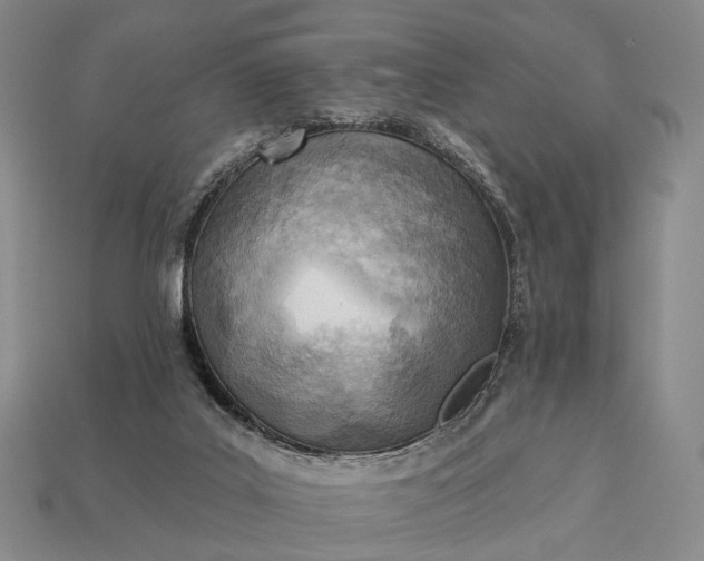 X0000112940019200909071104