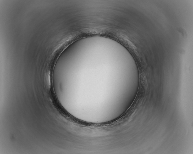 X0000112940020200909071104