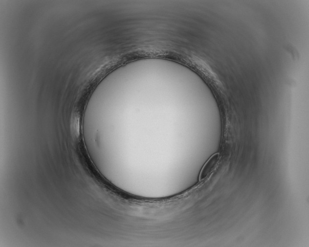 X0000112940021200909071104