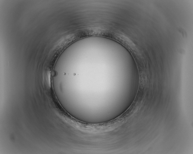 X0000112940022200909071104