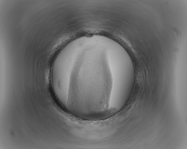 X0000112940023200909071104