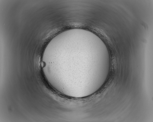 X0000112940024200909071104