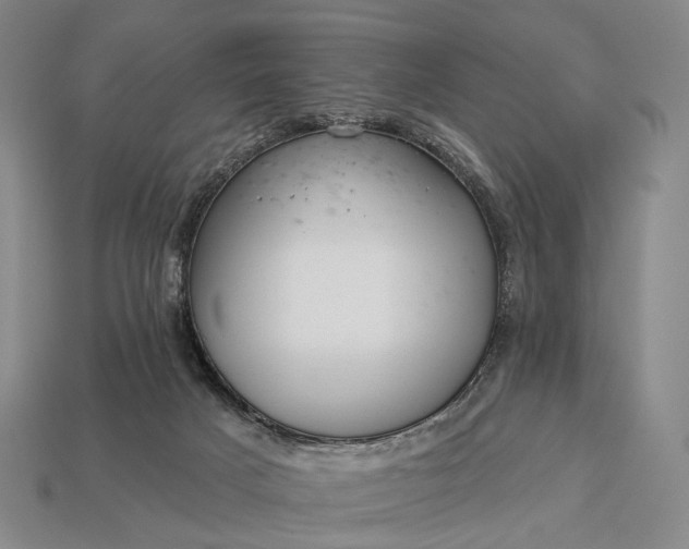 X0000112940025200909071104