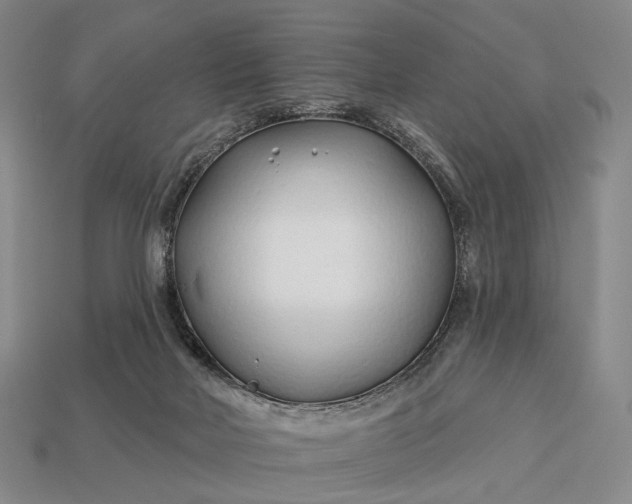 X0000112940026200909071104