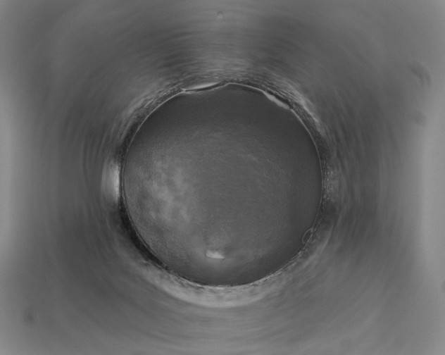 X0000112940027200909071104