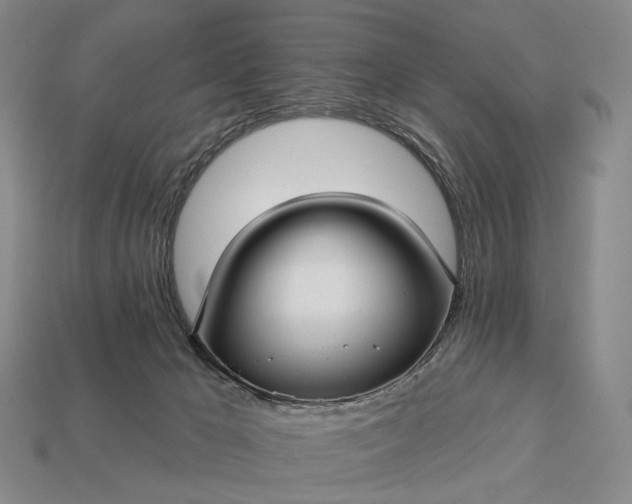 X0000112940029200909071104