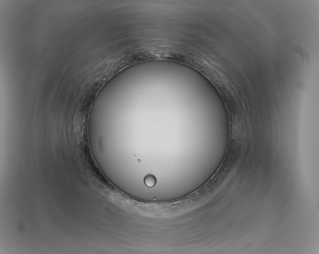 X0000112940030200909071104