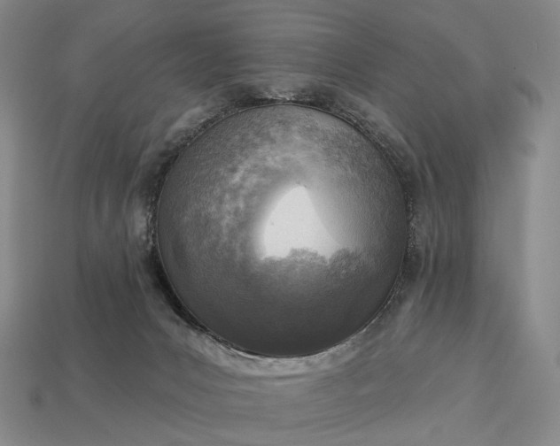 X0000112940031200909071104