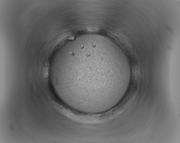 X0000112940032200909071104