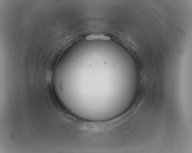 X0000112940033200909071104