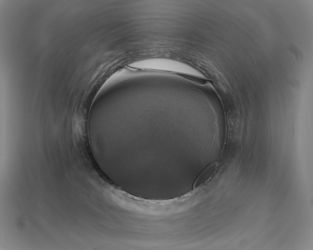 X0000112940035200909071104