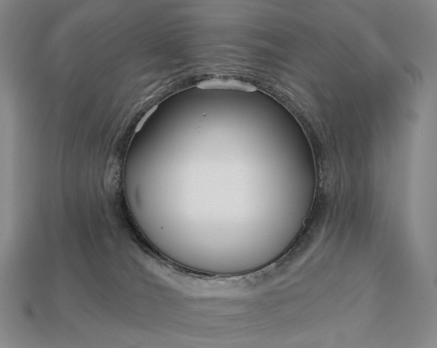 X0000112940036200909071104