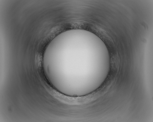 X0000112940038200909071104