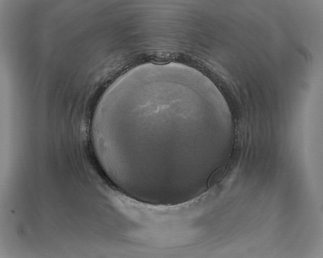 X0000112940039200909071104