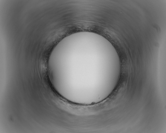 X0000112940040200909071104