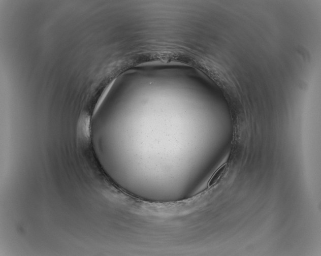 X0000112940041200909071104