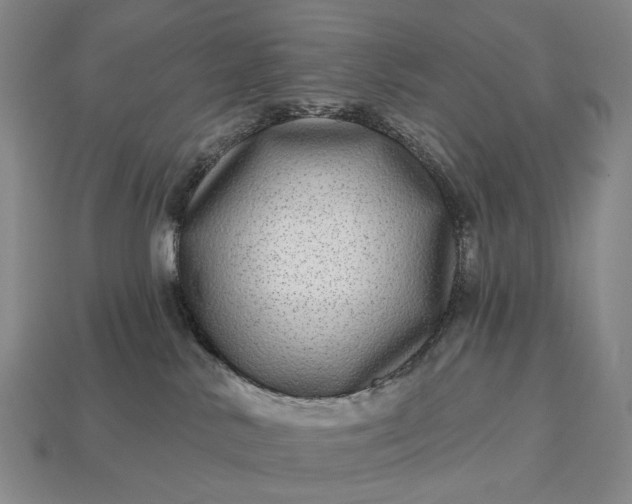 X0000112940042200909071104