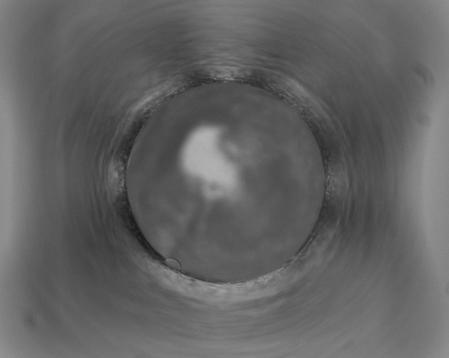 X0000112940043200909071104