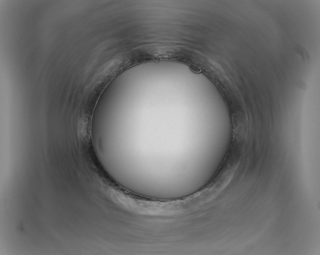 X0000112940044200909071104