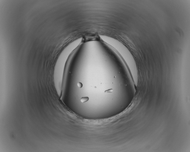 X0000112940045200909071104