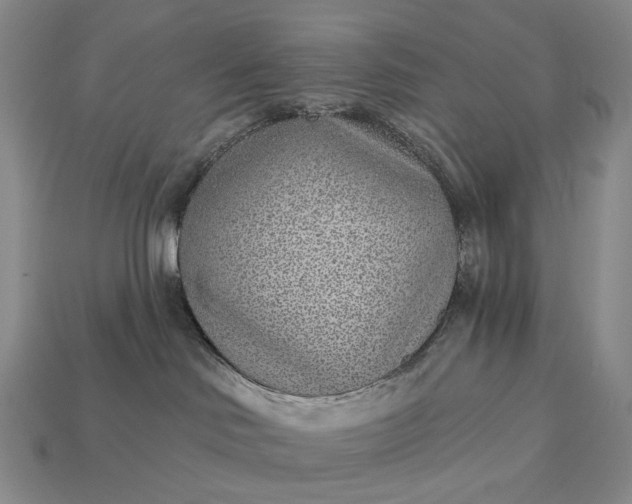 X0000112940046200909071104