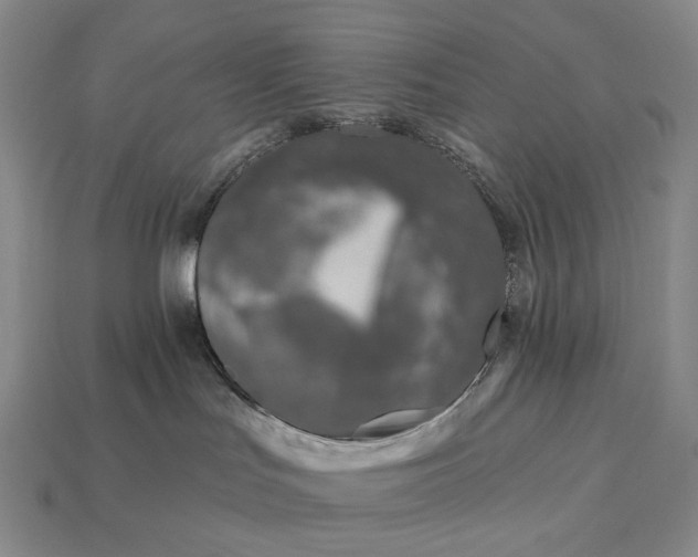 X0000112940047200909071104