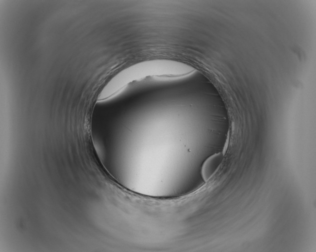 X0000112940048200909071104