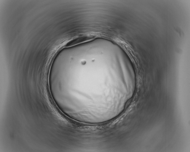 X0000112940049200909071103