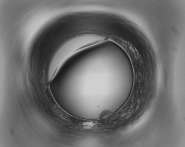 X0000112940050200909071103