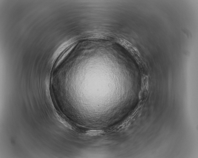 X0000112940051200909071103