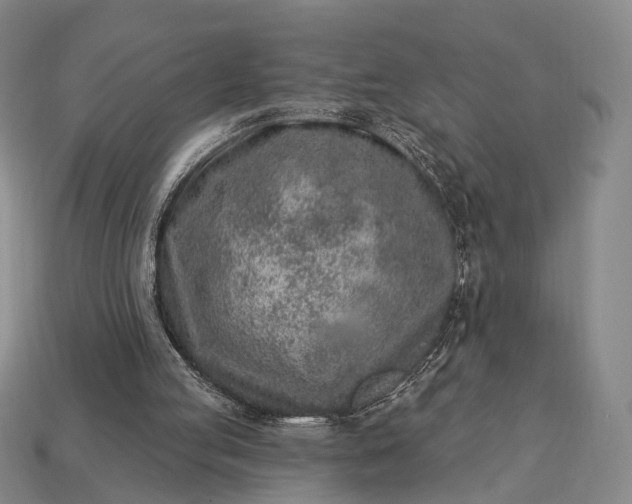 X0000112940053200909071103