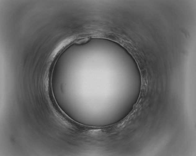 X0000112940054200909071103