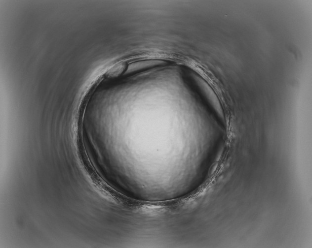 X0000112940055200909071103