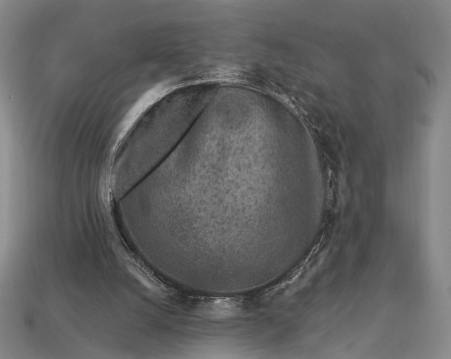 X0000112940056200909071103