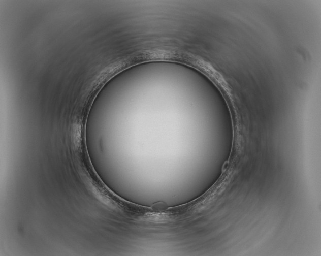 X0000112940057200909071103